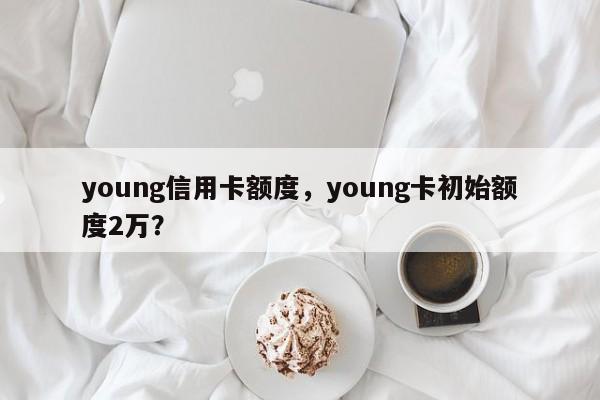 young信用卡额度,young卡初始额度2万?