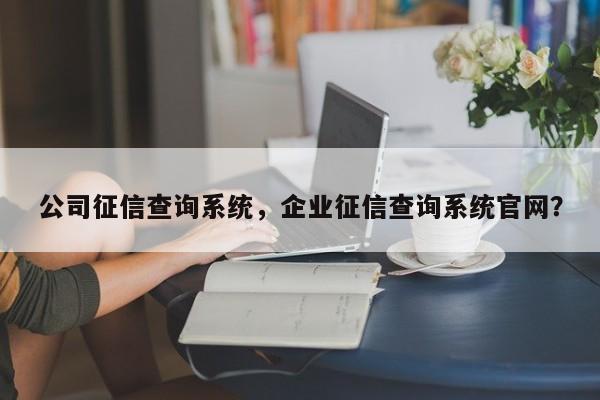 公司征信查询系统，企业征信查询系统官网？