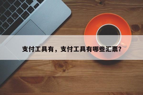支付工具有,支付工具有哪些汇票?