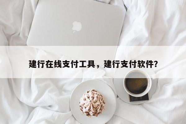 建行在线支付工具，建行支付软件？