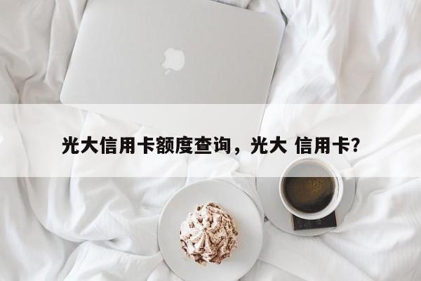 光大信用卡额度查询,光大 信用卡?