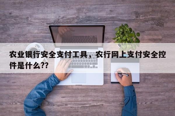 农业银行安全支付工具，农行网上支付安全控件是什么?？