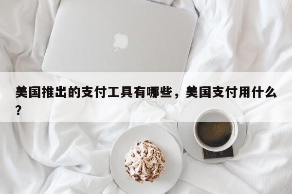 美国推出的支付工具有哪些，美国支付用什么？
