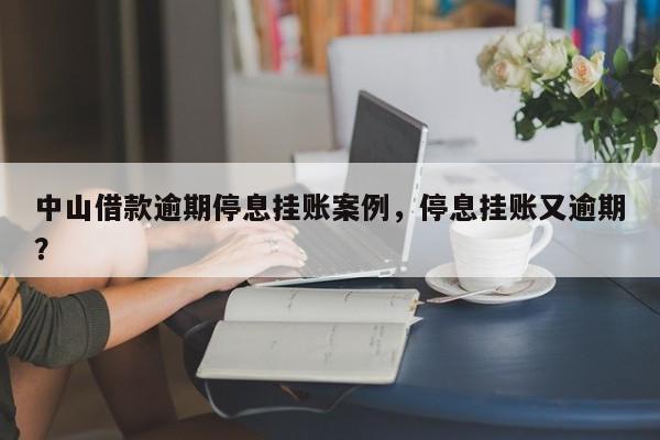 中山借款逾期停息挂账案例,停息挂账又逾期?