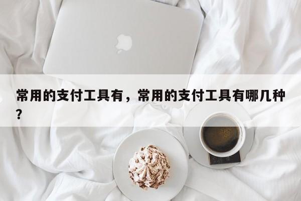 常用的支付工具有,常用的支付工具有哪几种?