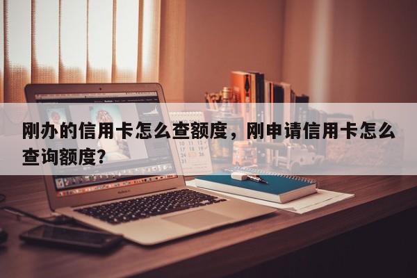 刚办的信用卡怎么查额度,刚申请信用卡怎么查询额度?