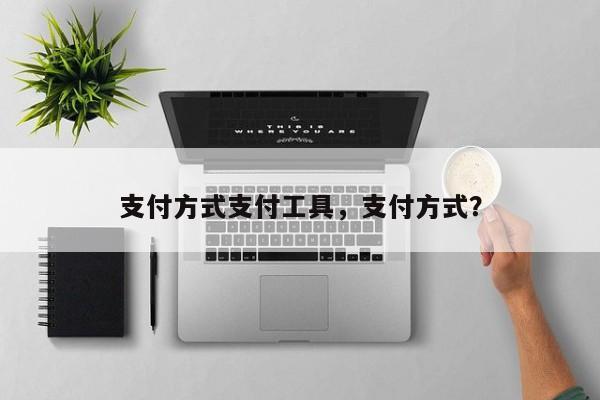 支付方式支付工具,支付方式?
