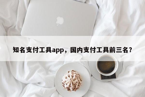 知名支付工具app,国内支付工具前三名?