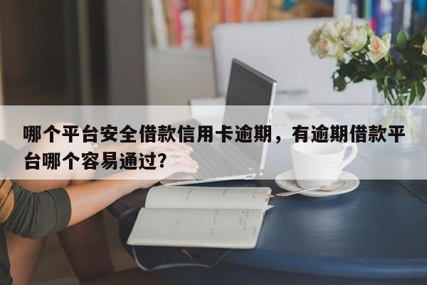 哪个平台安全借款信用卡逾期，有逾期借款平台哪个容易通过？