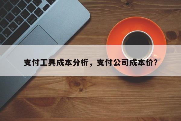 支付工具成本分析,支付公司成本价?