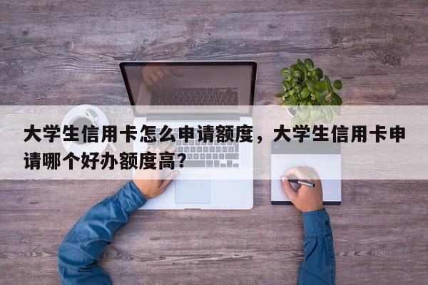 大学生信用卡怎么申请额度,大学生信用卡申请哪个好办额度高?