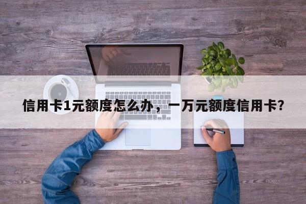 信用卡1元额度怎么办,一万元额度信用卡?