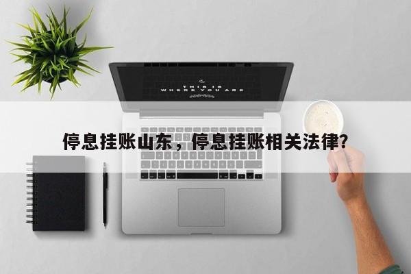 停息挂账山东,停息挂账相关法律?