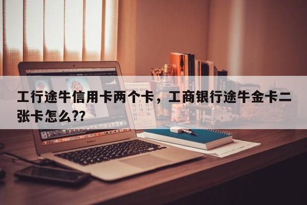 工行途牛信用卡两个卡,工商银行途牛金卡二张卡怎么??