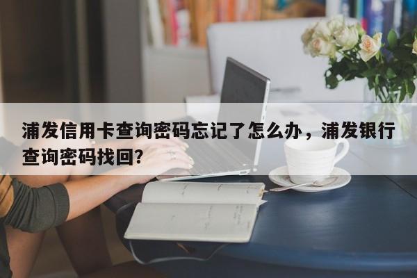 浦发信用卡查询密码忘记了怎么办,浦发银行查询密码找回?