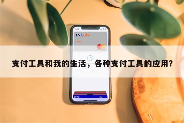 支付工具和我的生活，各种支付工具的应用？