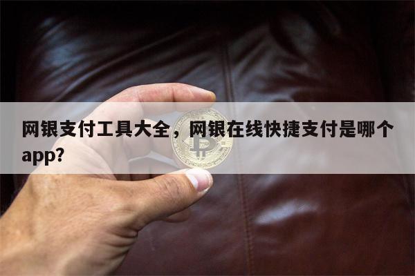 网银支付工具大全,网银在线快捷支付是哪个app?