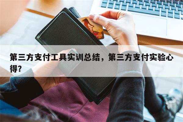 第三方支付工具实训总结,第三方支付实验心得?