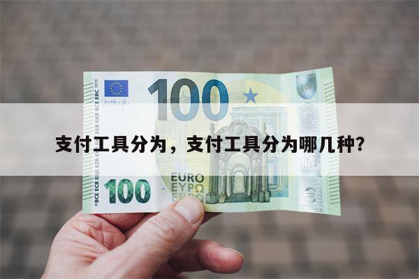 支付工具分为,支付工具分为哪几种?