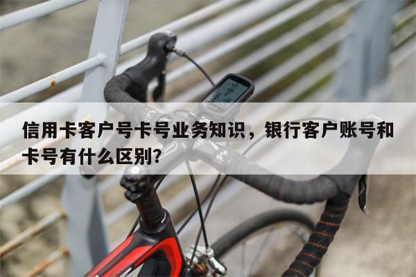 信用卡客户号卡号业务知识，银行客户账号和卡号有什么区别？