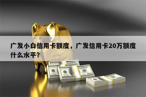 广发小白信用卡额度，广发信用卡20万额度什么水平？