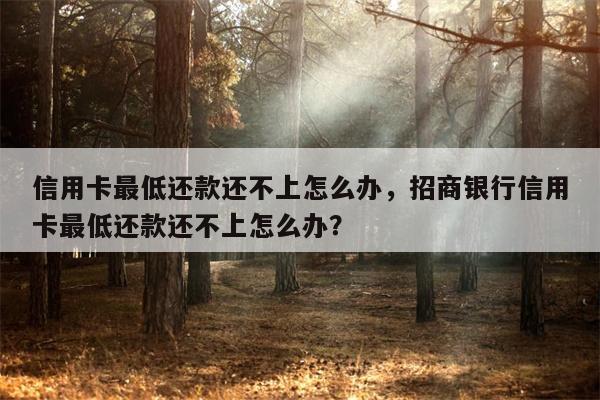 信用卡最低还款还不上怎么办,招商银行信用卡最低还款还不上怎么办?