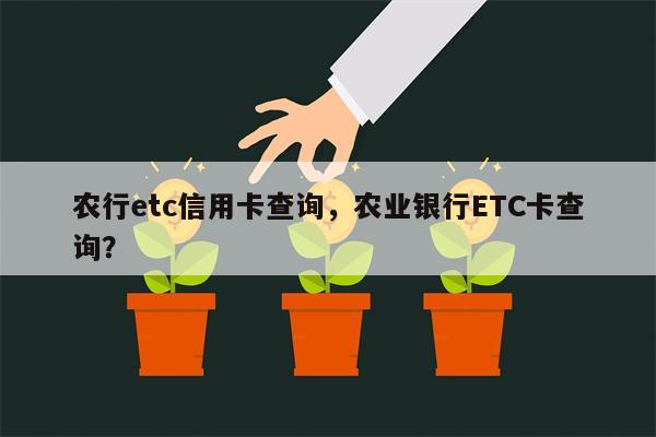 农行etc信用卡查询,农业银行ETC卡查询?