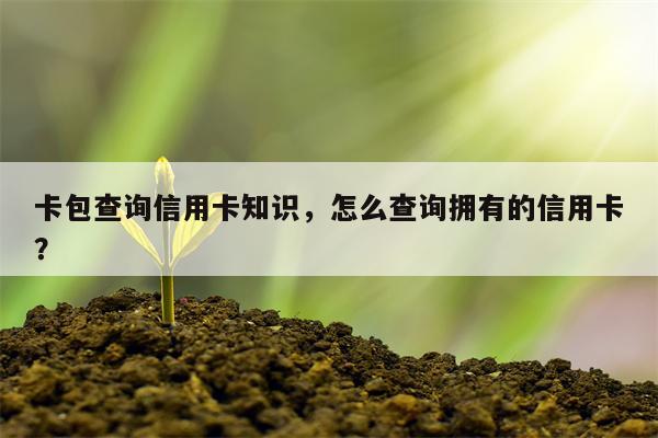 卡包查询信用卡知识，怎么查询拥有的信用卡？