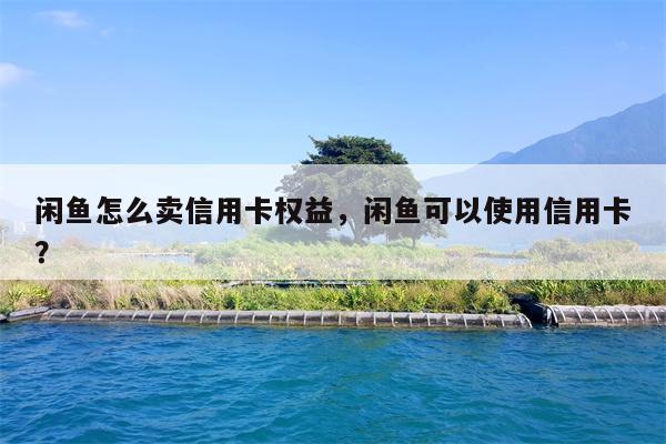闲鱼怎么卖信用卡权益，闲鱼可以使用信用卡？