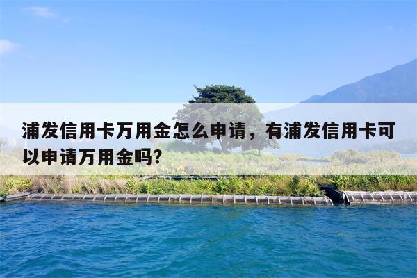 浦发信用卡万用金怎么申请,有浦发信用卡可以申请万用金吗?