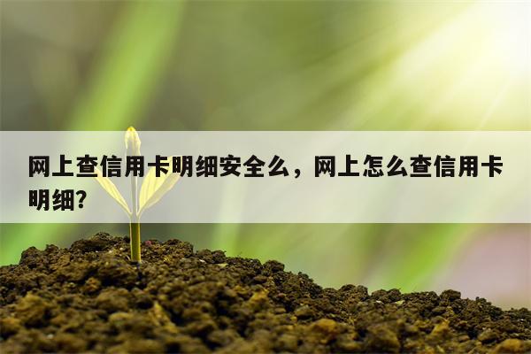网上查信用卡明细安全么，网上怎么查信用卡明细？