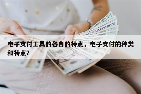 电子支付工具的各自的特点,电子支付的种类和特点?