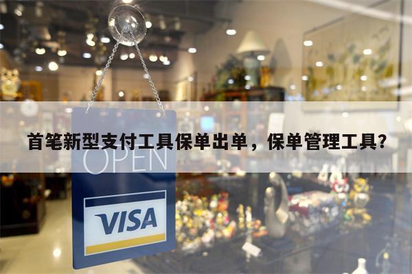 首笔新型支付工具保单出单，保单管理工具？
