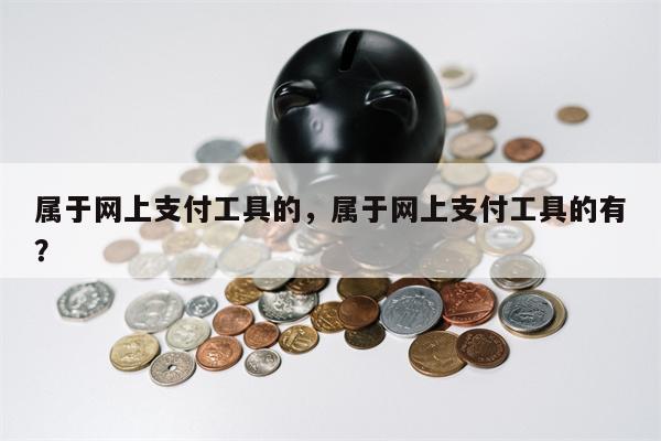 属于网上支付工具的,属于网上支付工具的有?