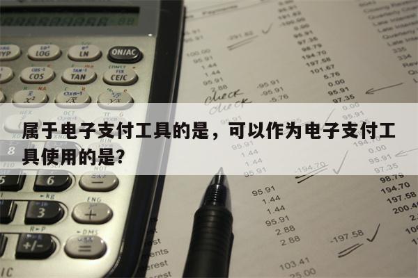 属于电子支付工具的是,可以作为电子支付工具使用的是?
