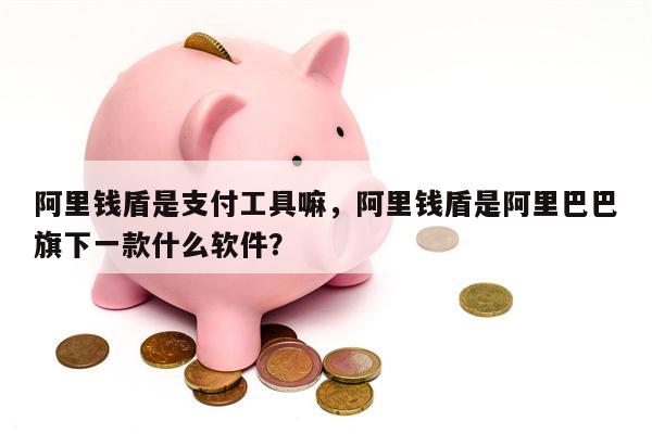 阿里钱盾是支付工具嘛，阿里钱盾是阿里巴巴旗下一款什么软件？