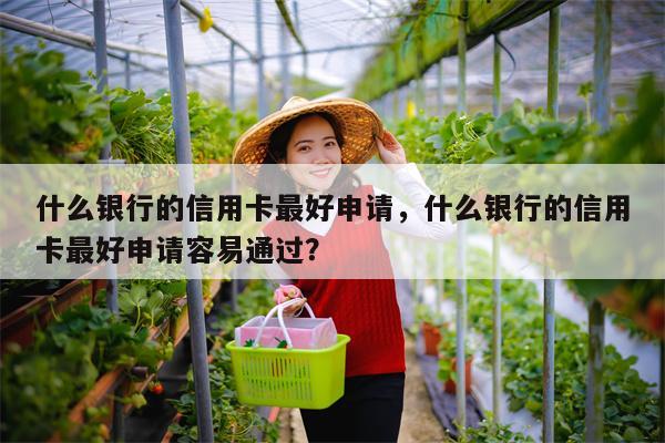 什么银行的信用卡最好申请,什么银行的信用卡最好申请容易通过?