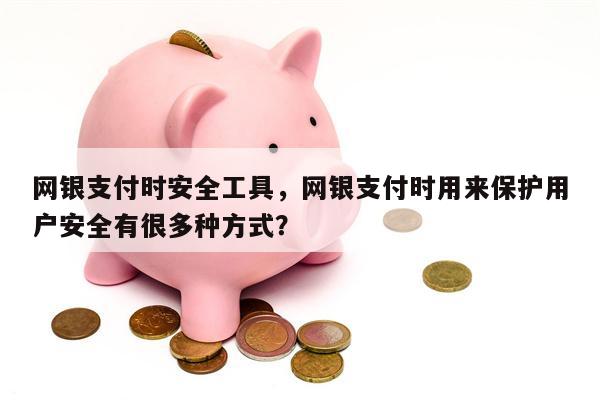 网银支付时安全工具，网银支付时用来保护用户安全有很多种方式？