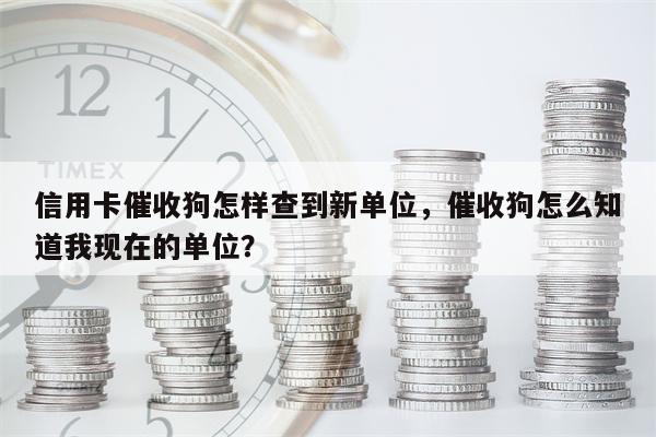 信用卡催收狗怎样查到新单位,催收狗怎么知道我现在的单位?
