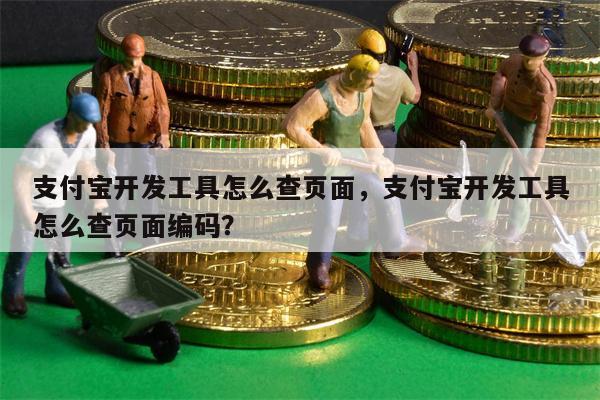 支付宝开发工具怎么查页面，支付宝开发工具怎么查页面编码？