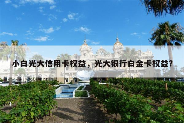 小白光大信用卡权益，光大银行白金卡权益？