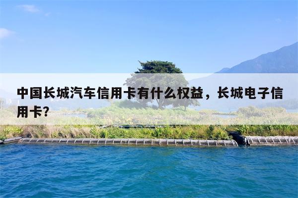 中国长城汽车信用卡有什么权益，长城电子信用卡？