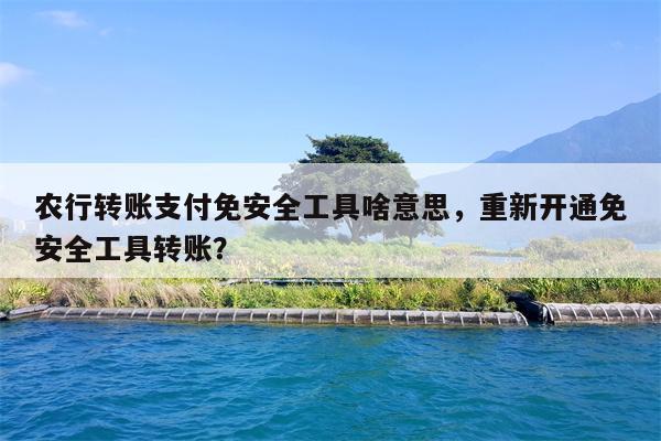 农行转账支付免安全工具啥意思，重新开通免安全工具转账？