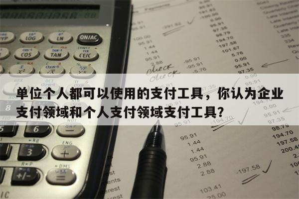 单位个人都可以使用的支付工具，你认为企业支付领域和个人支付领域支付工具？