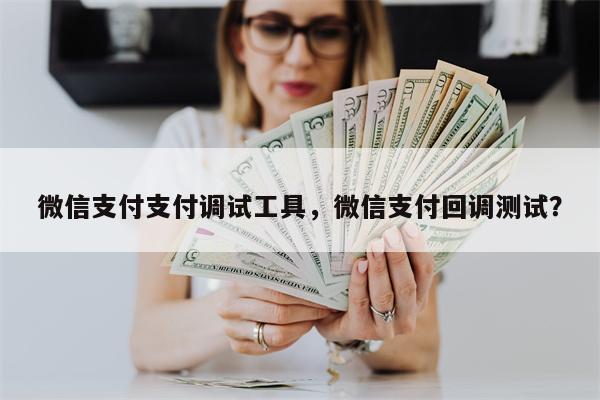微信支付支付调试工具，微信支付回调测试？