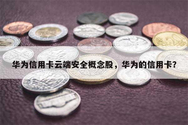 华为信用卡云端安全概念股,华为的信用卡?