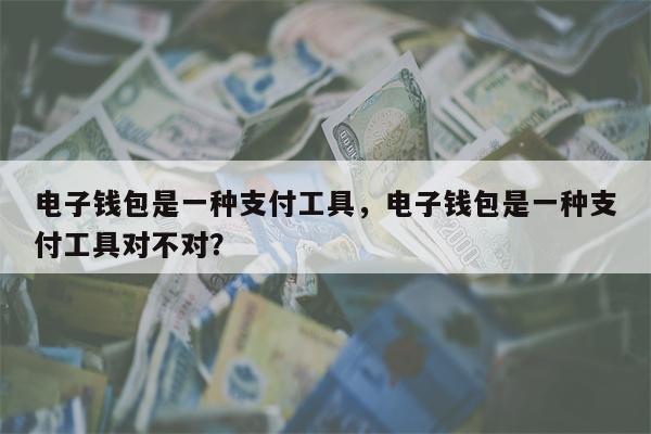 电子钱包是一种支付工具，电子钱包是一种支付工具对不对？
