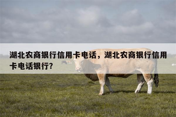 湖北农商银行信用卡电话，湖北农商银行信用卡电话银行？