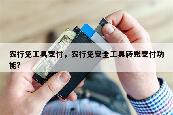 农行免工具支付，农行免安全工具转账支付功能？