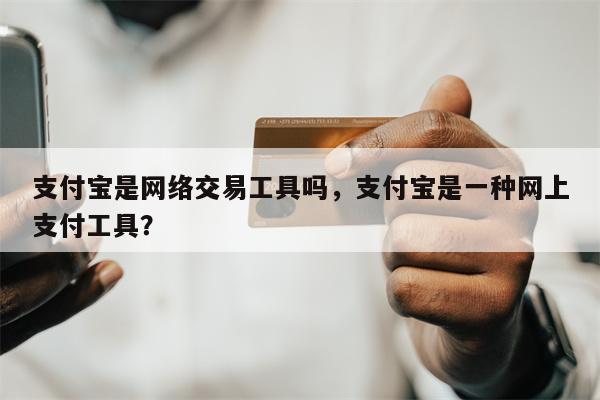 支付宝是网络交易工具吗，支付宝是一种网上支付工具？